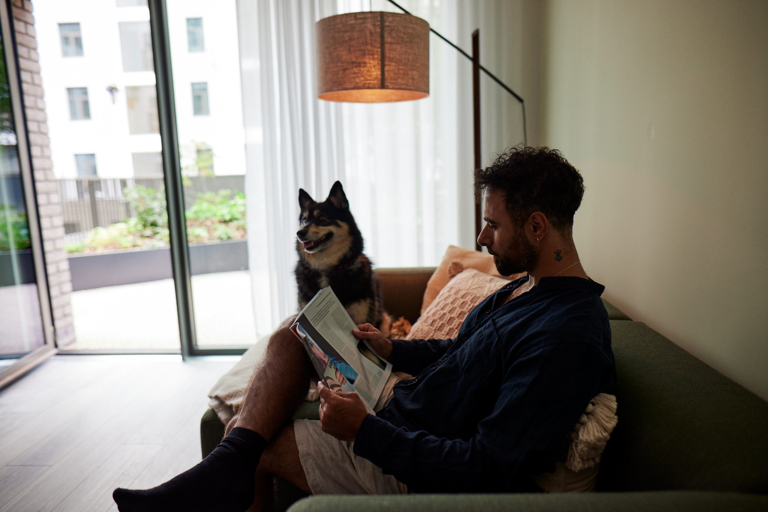 pet friendly apartment